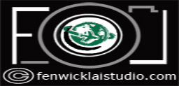 FenwickLaiStudios Logo