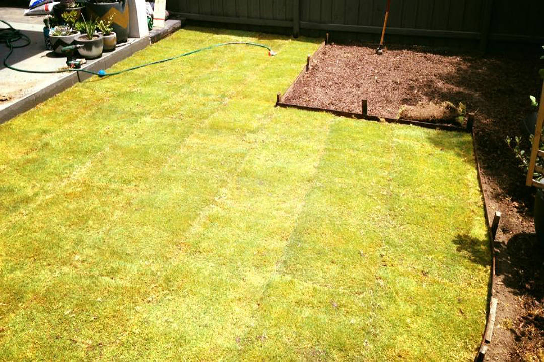 New Lawn