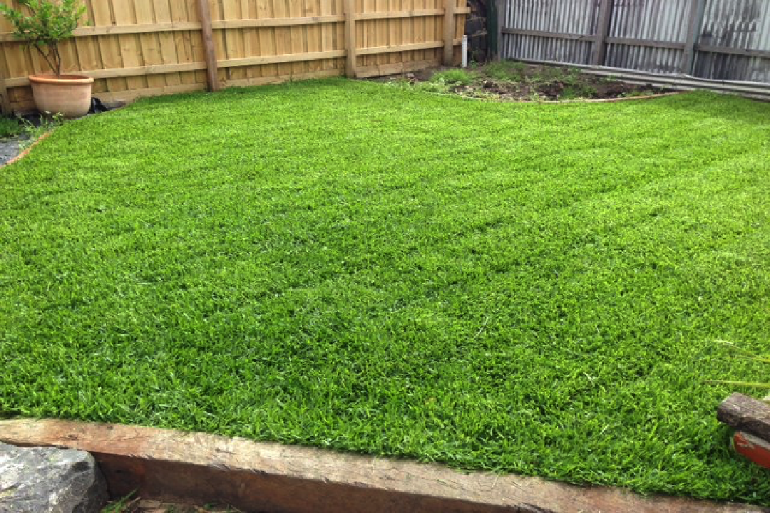 After New Lawn