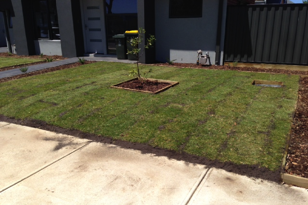 New Lawn
